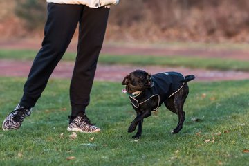 Bild 30 - Hundeshooting